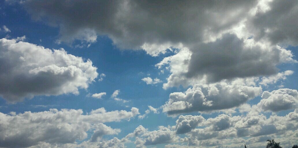 jesvera8's profile banner image