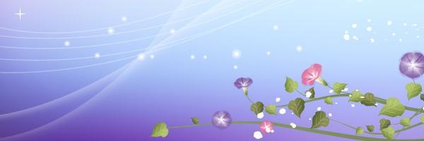 Tam2012Al's profile banner image
