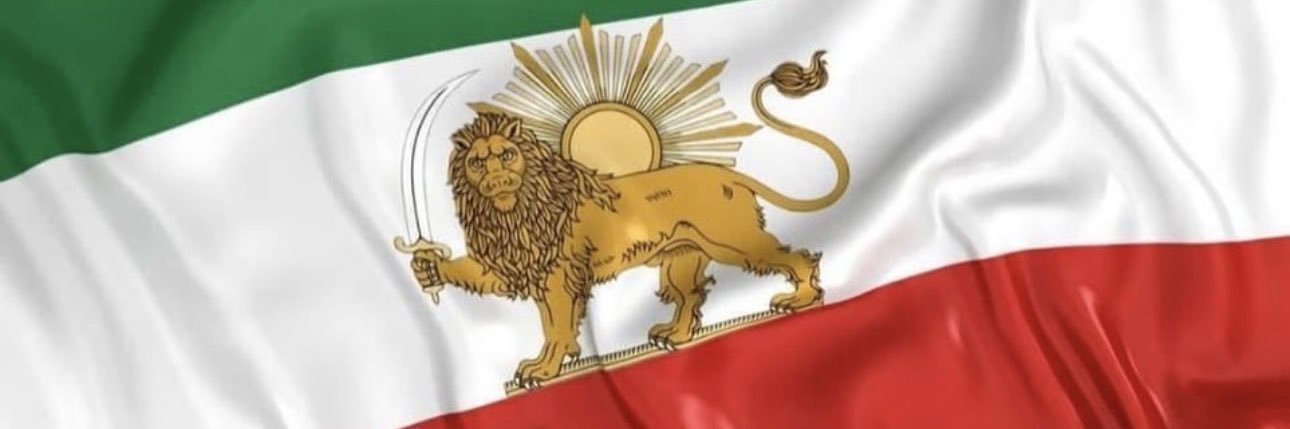 Ellie Manzari banner