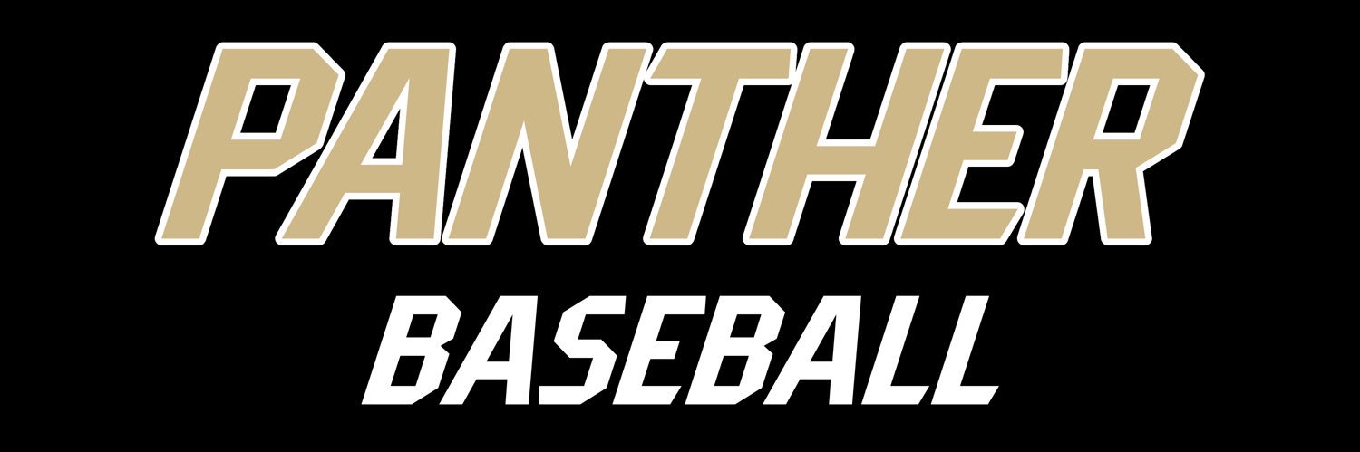 Panther Baseball banner