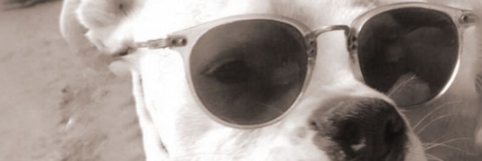 pagustin1990's profile banner image