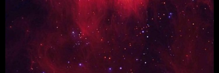 BITE SIZED BED TRASH banner