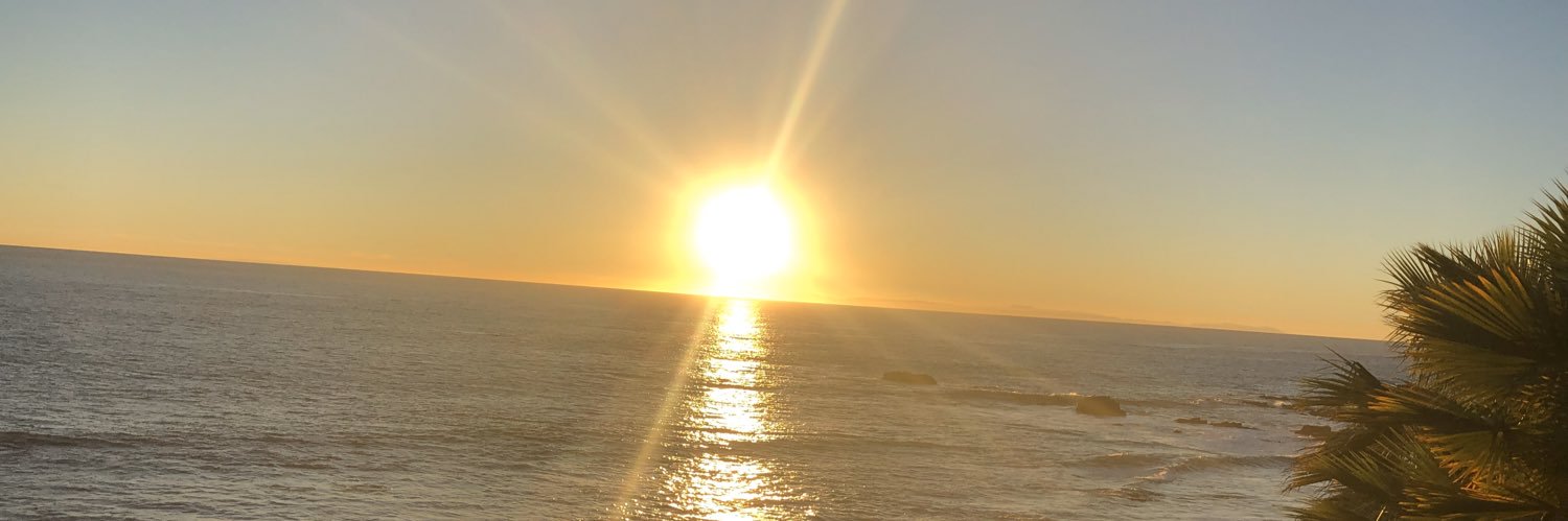 wil_canes's profile banner image