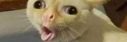 eaesub's profile banner image