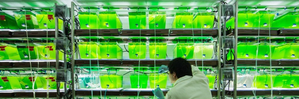 Bradley Cardinale banner