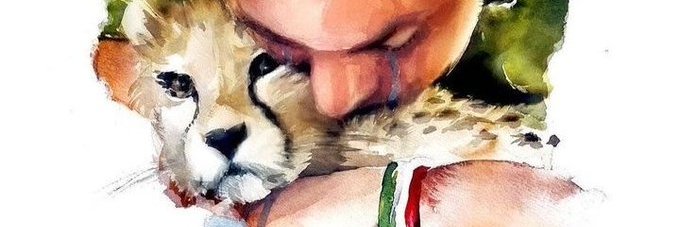 FreeSolo16's profile banner image