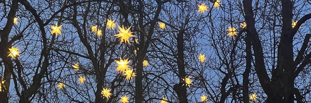 tryinguntildead 💹🧲 banner