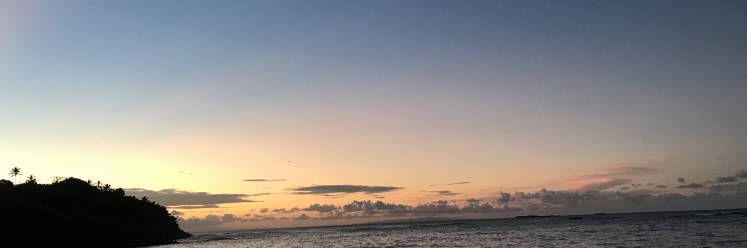 LopexDarvin's profile banner image