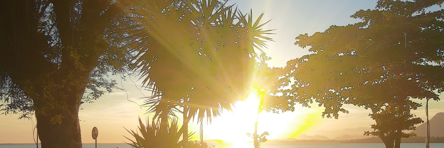 m4nus's profile banner image