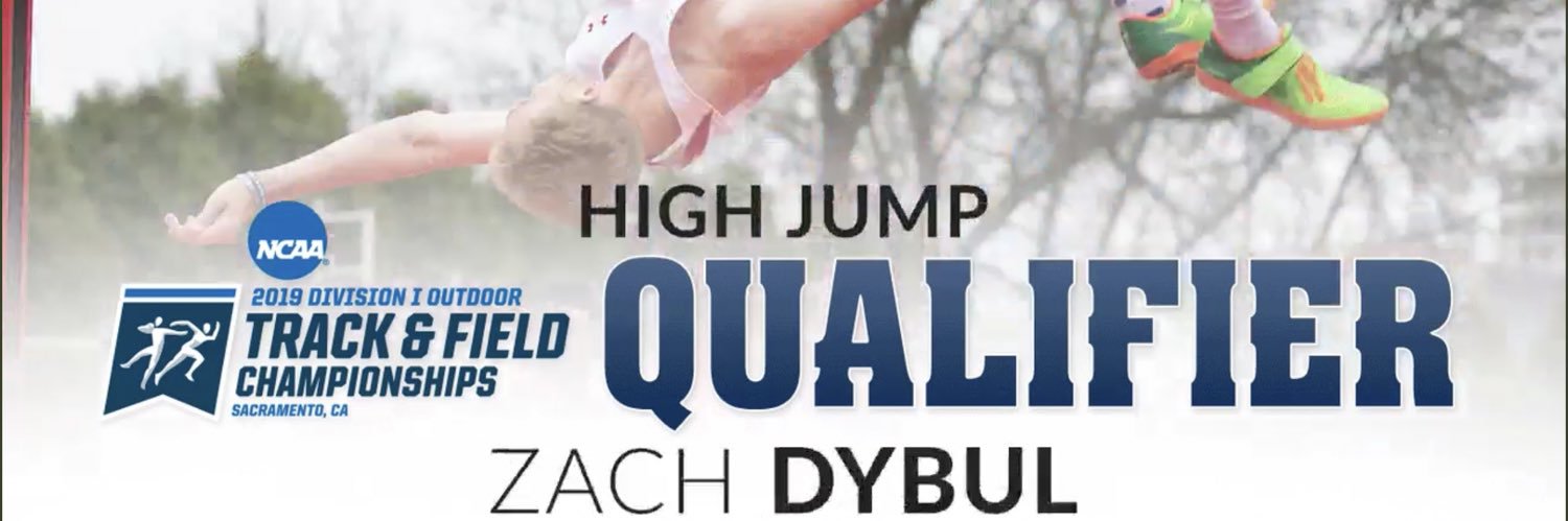 ZD banner