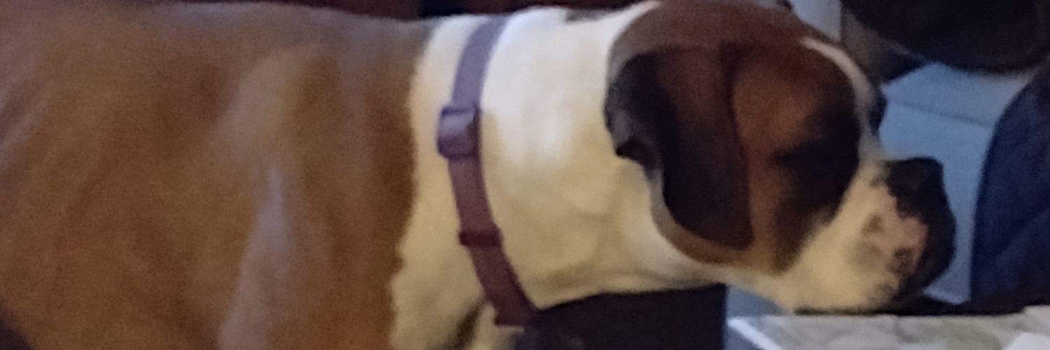 KenmstKenneth's profile banner image