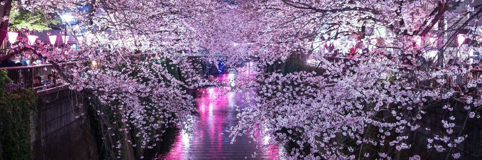 as a Pixar character banner