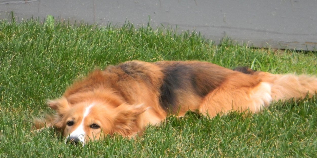 Btillinger's profile banner image