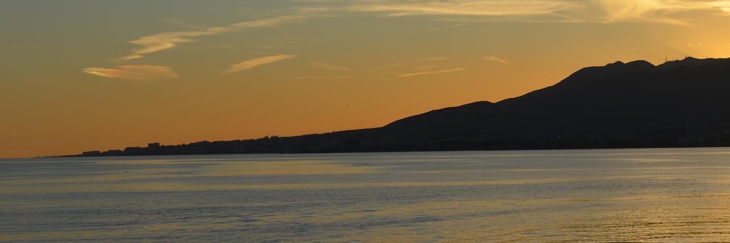 carotatto's profile banner image
