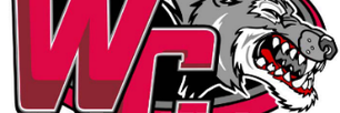 cquiroga28's profile banner image