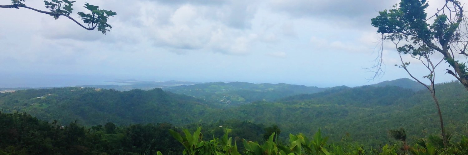 yalstrad's profile banner image