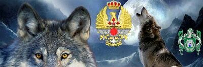 EA-1 IIR 📡M. Felix Corral🇪🇸 banner