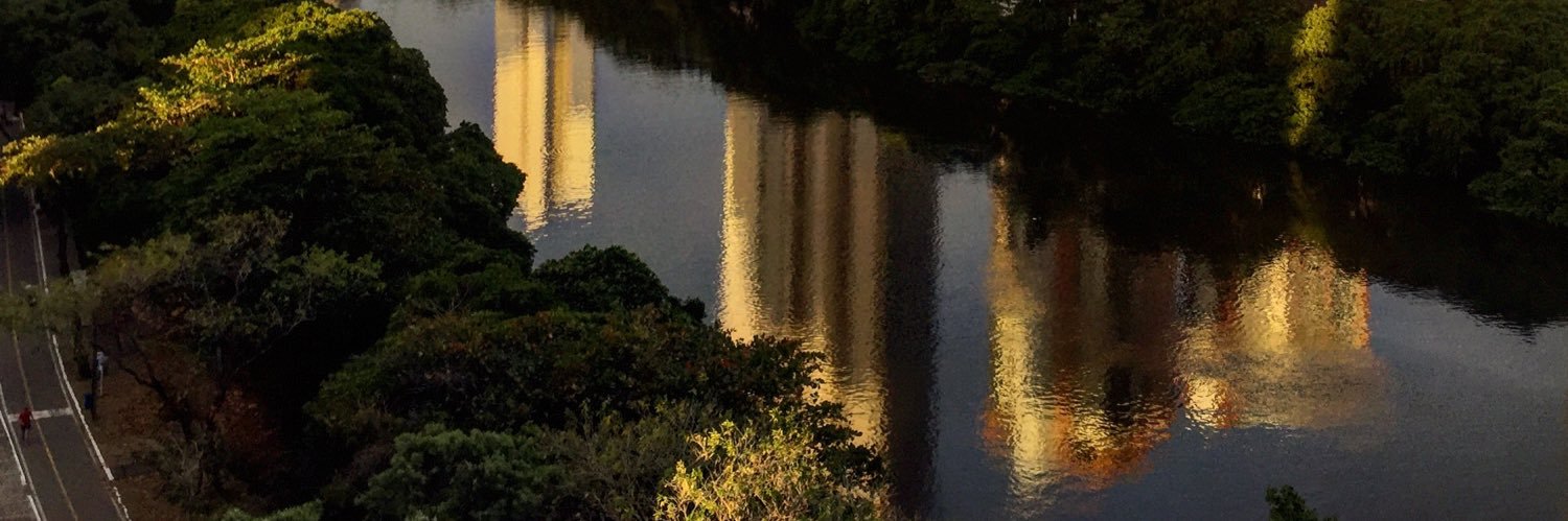 emirecife's profile banner image