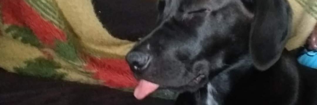_saaaamy's profile banner image