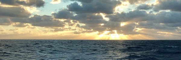 patticash Profile Banner