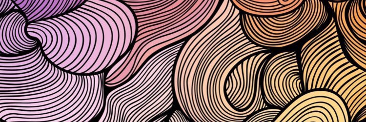 essenaXoneill's profile banner image