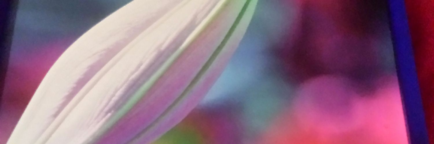 Sally Paulsen banner
