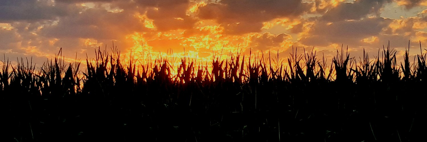 m_van_kampen's profile banner image