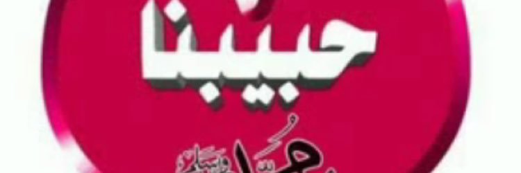 NLabni's profile banner image