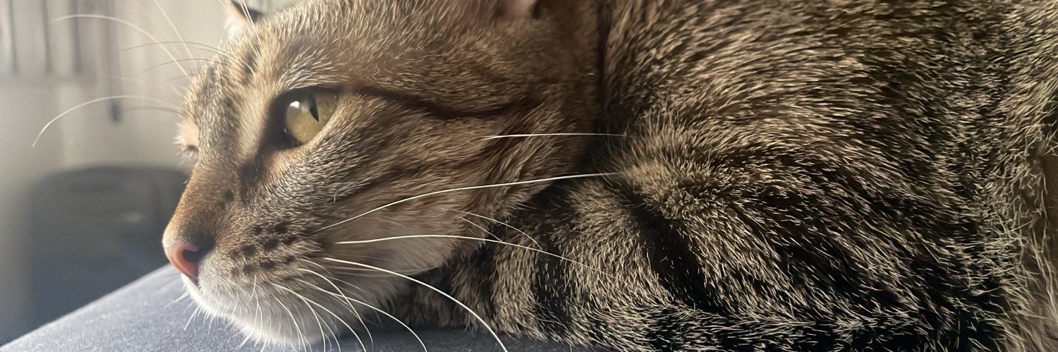 cb7v's profile banner image
