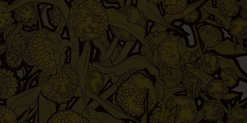Absentroux's profile banner image