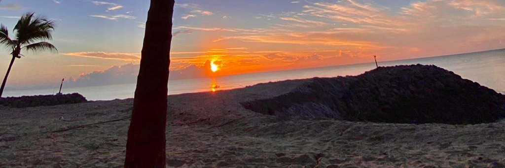 LESLIE MITRANI banner