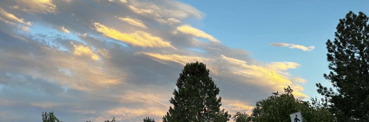 ShadeNeal's profile banner image