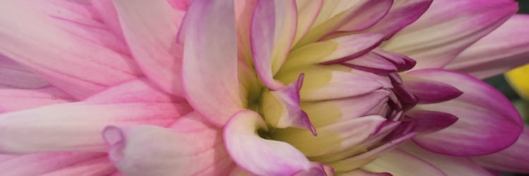 MaddyTaylor2499's profile banner image