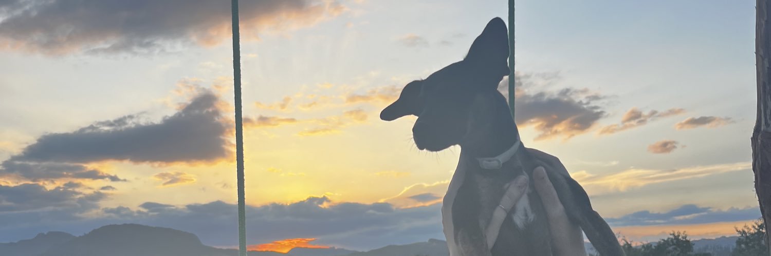 morandicr's profile banner image