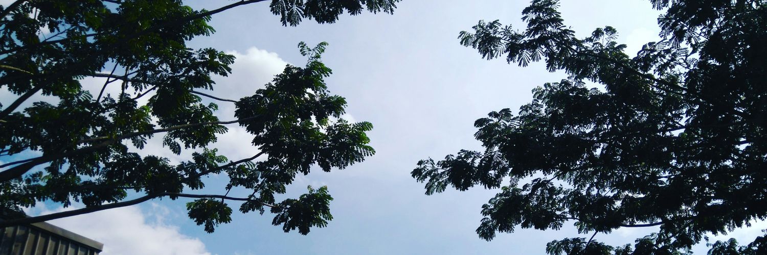 _ineruru's profile banner image