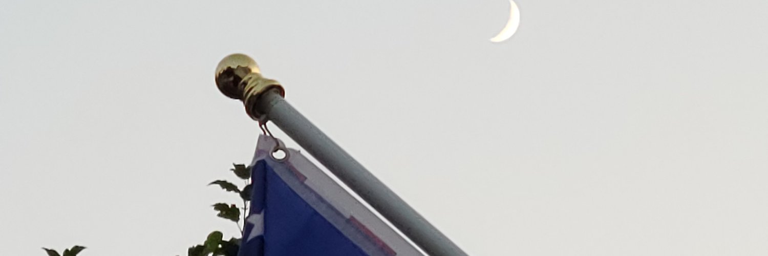 Jinn Ali © 🇹🇷🇺🇸🇵🇸 banner