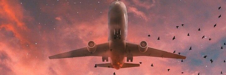 Nael_Solow's profile banner image