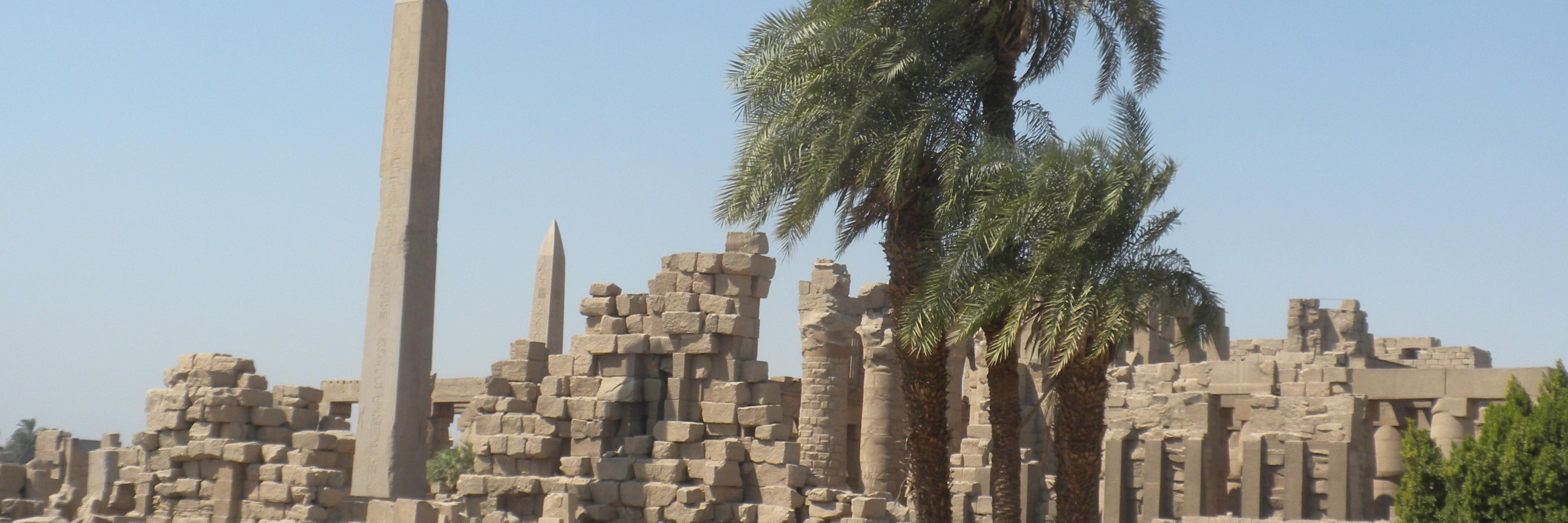 Dr Stephanie Boonstra banner