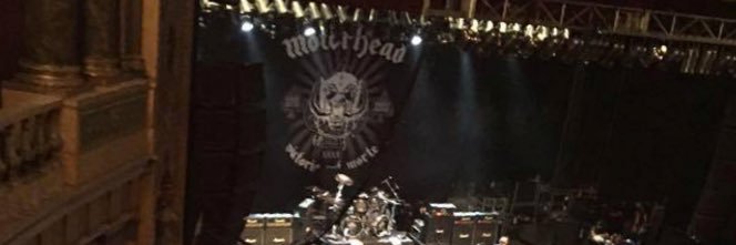 Long Suffering Bengals fan banner