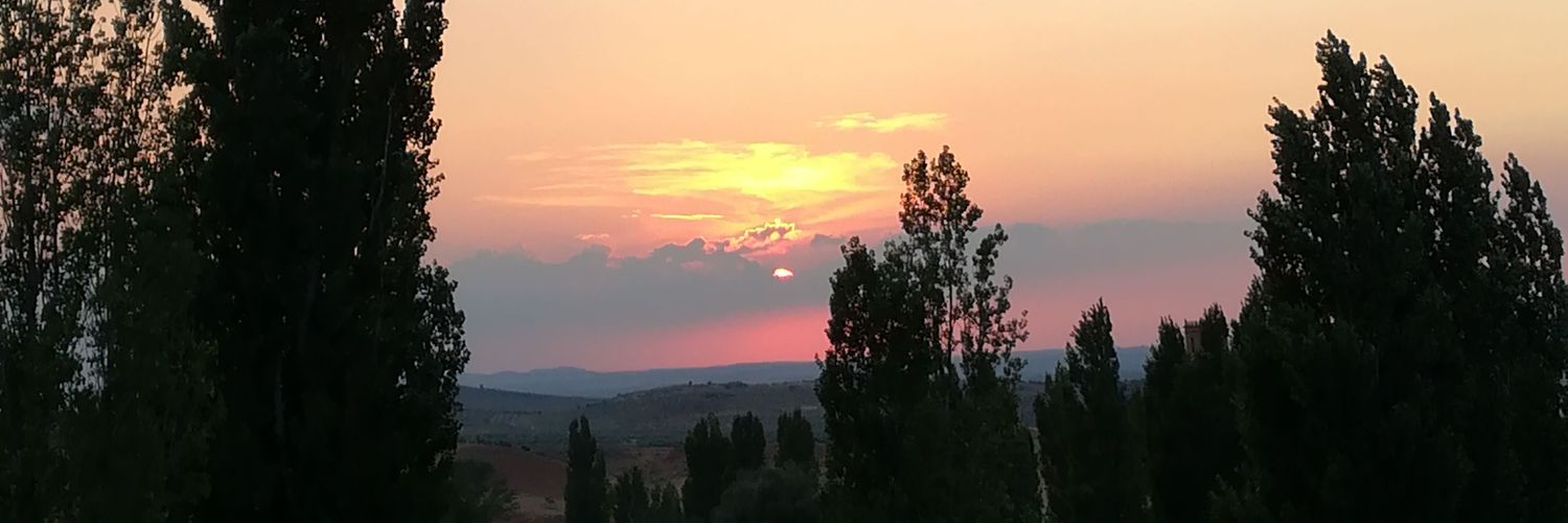 Gema Pérez banner