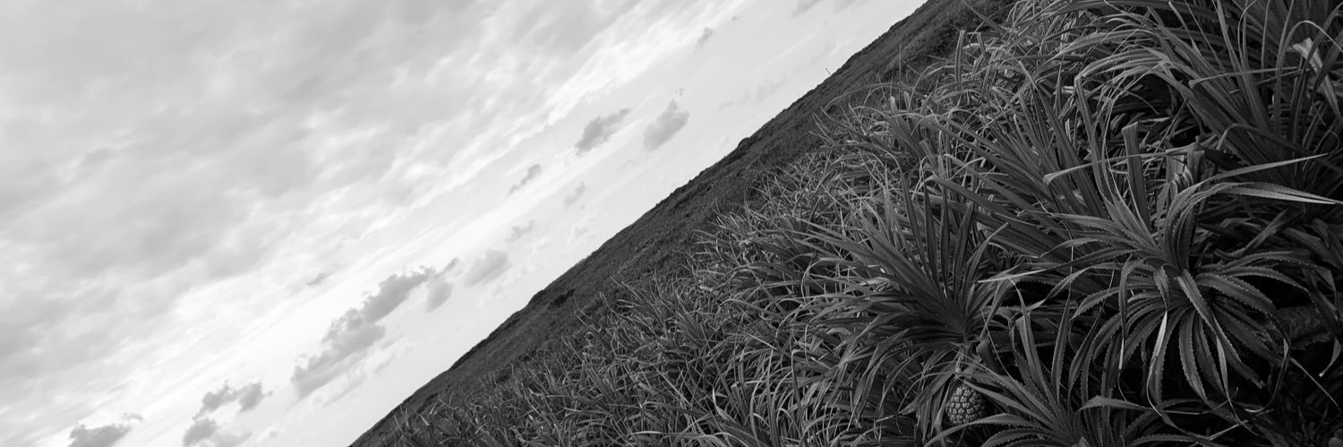 KaoruUtada's profile banner image