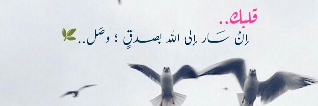 Raghad_f02's profile banner image
