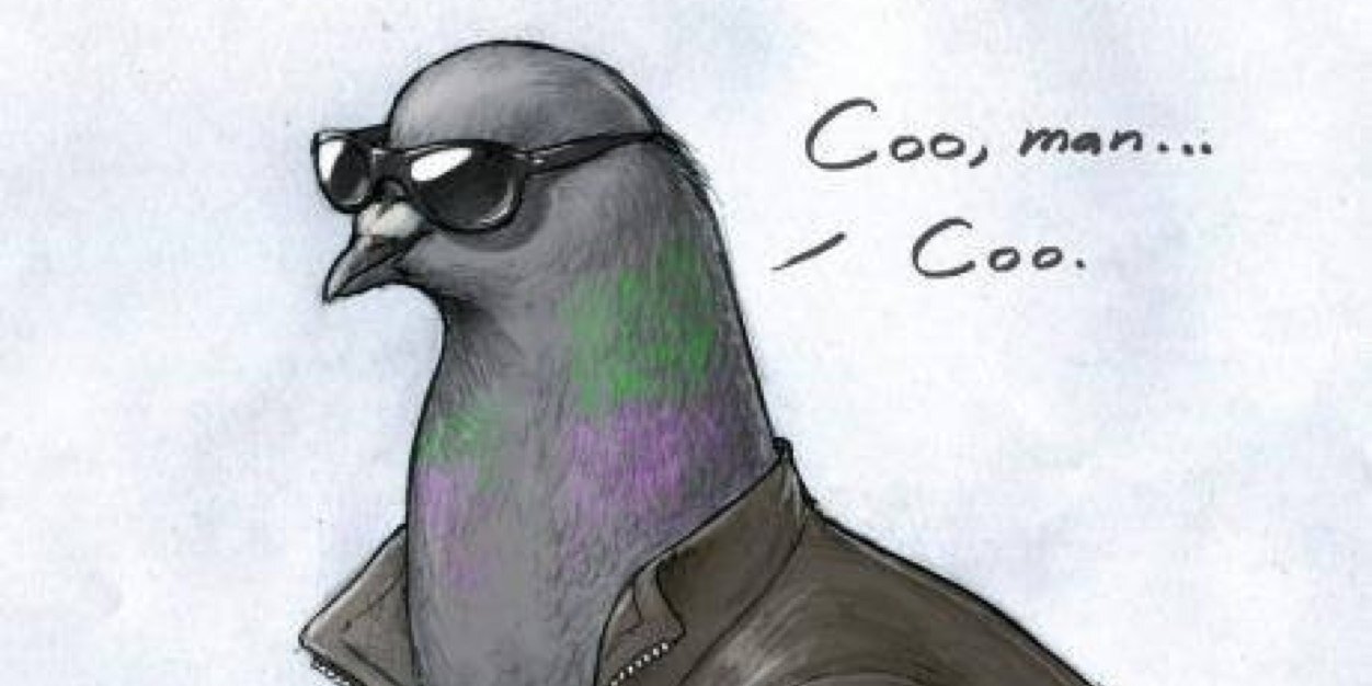 benfrobinson's profile banner image