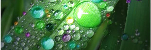 Light of Rain banner