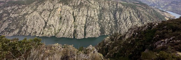 ricardotero Profile Banner