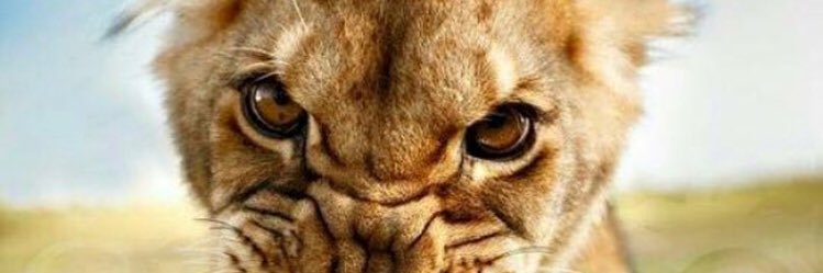 Hostility069's profile banner image