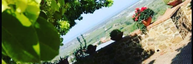 vinserrao's profile banner image