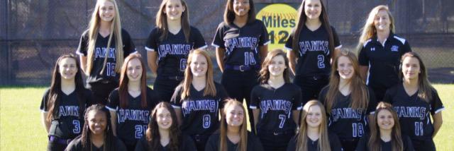 HSHSSOFTBALL's profile banner image