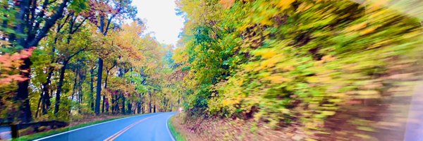 avaa411 Profile Banner