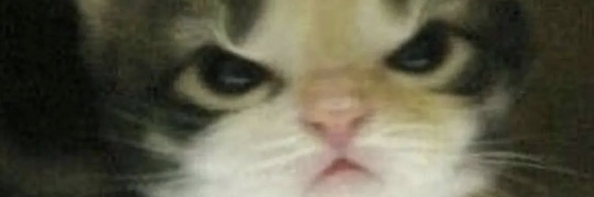 SarahMaxey's profile banner image